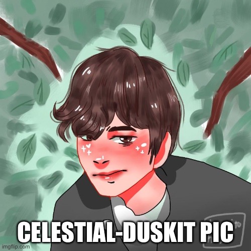 CELESTIAL-DUSKIT PIC | image tagged in change my mind | made w/ Imgflip meme maker