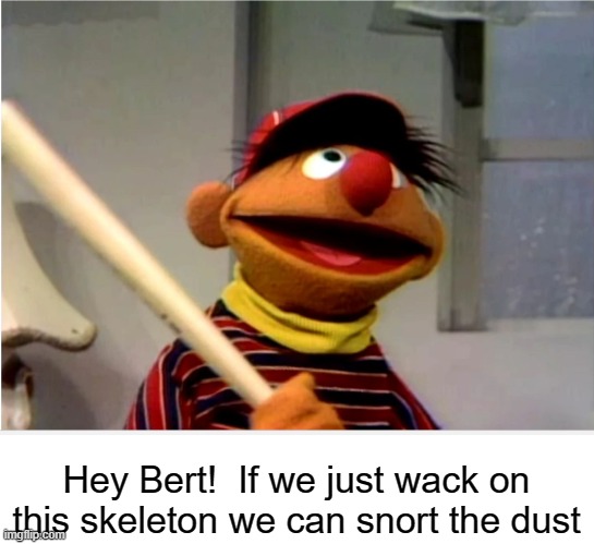 Ernie Baseball | Hey Bert!  If we just wack on this skeleton we can snort the dust | image tagged in ernie baseball | made w/ Imgflip meme maker