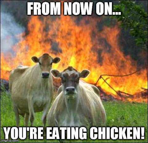 Evil Cows Meme | FROM NOW ON... YOU'RE EATING CHICKEN! | image tagged in memes,evil cows | made w/ Imgflip meme maker