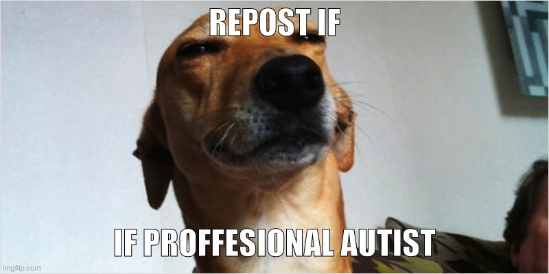 Dog that is high | REPOST IF; IF PROFFESIONAL AUTIST | image tagged in dog that is high | made w/ Imgflip meme maker