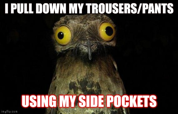 Am i a Psychopath? |  I PULL DOWN MY TROUSERS/PANTS; USING MY SIDE POCKETS | image tagged in memes,weird stuff i do potoo | made w/ Imgflip meme maker