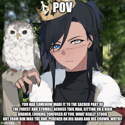 It's been a while, hasn't it? | POV; YOU HAD SOMEHOW MADE IT TO THE SACRED PART OF THE FOREST AND STUMBLE ACROSS THIS MAN, SITTING ON A HIGH BRANCH, LOOKING CONFUSED AT YOU. WHAT REALLY STOOD OUT FROM HIM WAS THE OWL PERCHED ON HIS HAND AND HIS CROWN. WDYD? | made w/ Imgflip meme maker