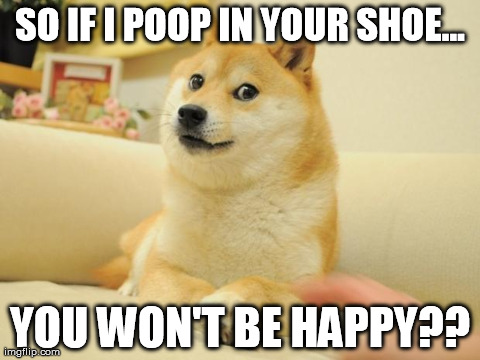 Doge 2 Meme | SO IF I POOP IN YOUR SHOE... YOU WON'T BE HAPPY?? | image tagged in memes,doge 2 | made w/ Imgflip meme maker
