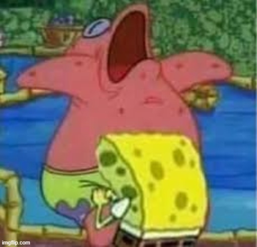 the uhhh whats happening | image tagged in the uhhh whats happening | made w/ Imgflip meme maker