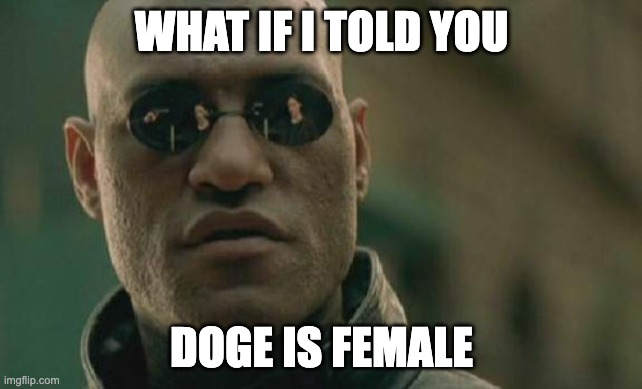 Matrix Morpheus | WHAT IF I TOLD YOU; DOGE IS FEMALE | image tagged in memes,matrix morpheus | made w/ Imgflip meme maker