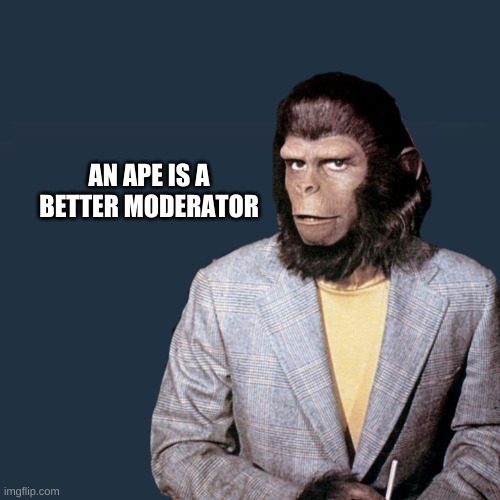 Everyone is an Ape? | AN APE IS A BETTER MODERATOR | image tagged in roddy mcdowell planet,moderators,meanwhile on imgflip,imgflip mods,imgflip,planet of the apes | made w/ Imgflip meme maker