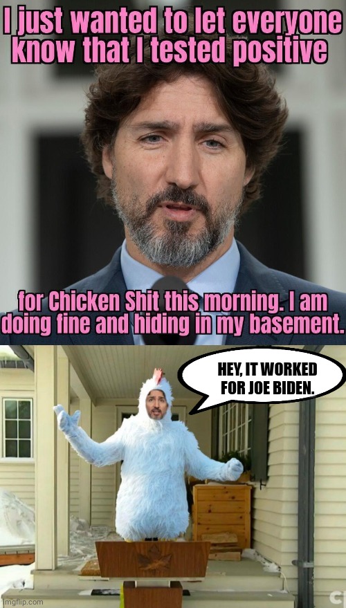 Trudy Chicken shit in the basement | HEY, IT WORKED FOR JOE BIDEN. | image tagged in joe biden | made w/ Imgflip meme maker