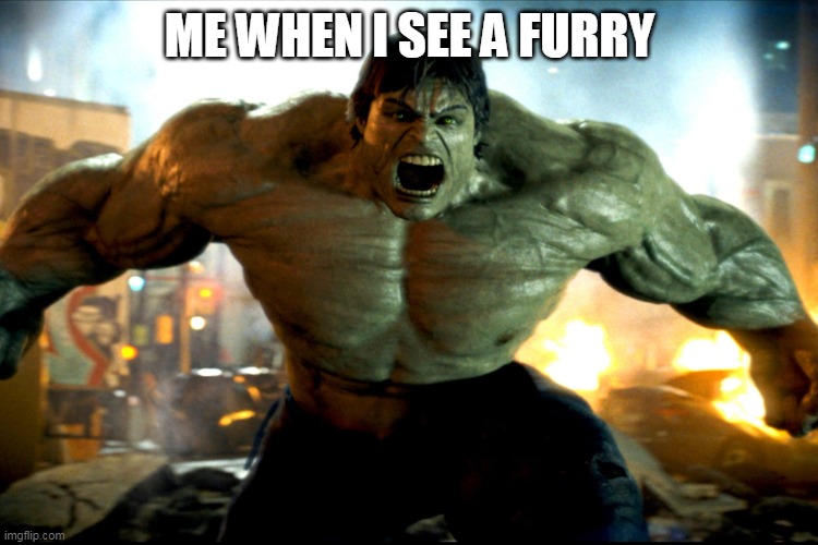 angry hulk | ME WHEN I SEE A FURRY | image tagged in angry hulk | made w/ Imgflip meme maker