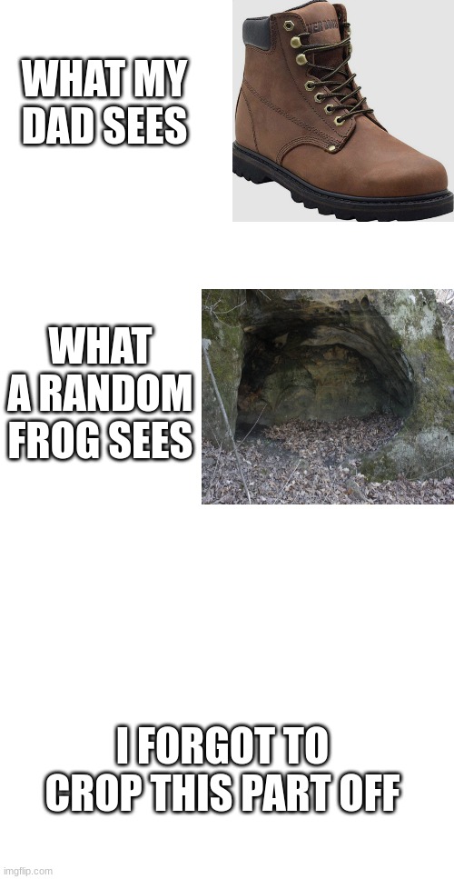 My dad found a frog hiding in his shoe |  WHAT MY
DAD SEES; WHAT A RANDOM FROG SEES; I FORGOT TO CROP THIS PART OFF | image tagged in frog,shoe | made w/ Imgflip meme maker