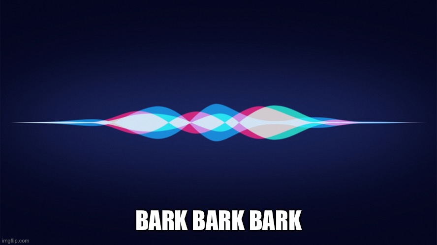 siri | BARK BARK BARK | image tagged in siri | made w/ Imgflip meme maker