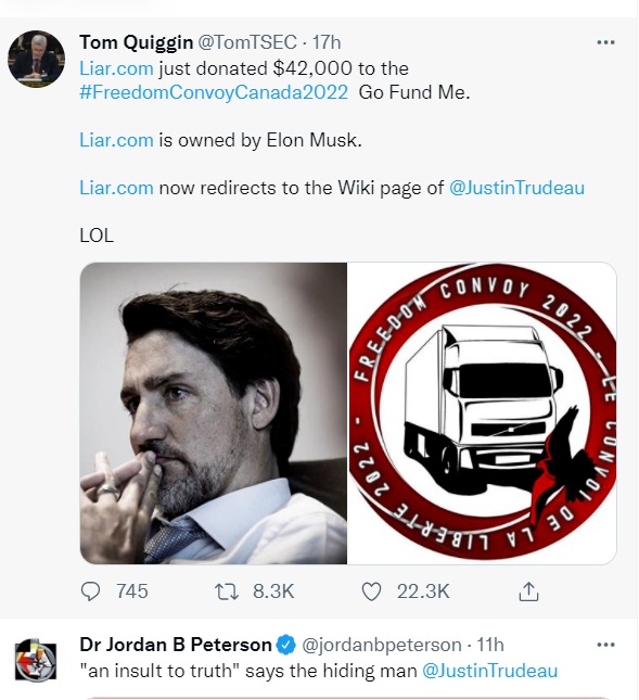 Liar.com is owned by Elon Musk. It redirects to Justin Trudeau's Wiki Page. | image tagged in liar liar,liar liar pants on fire,justin trudeau,elon musk laughing,sjw triggered,sad justin trudeau | made w/ Imgflip meme maker
