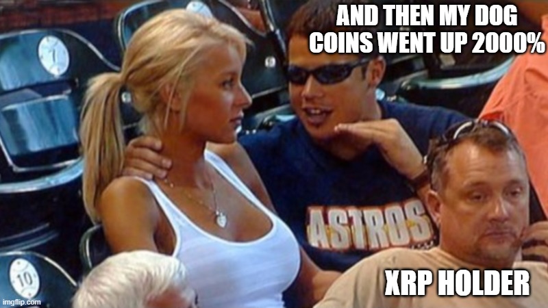 Bro explaining | AND THEN MY DOG COINS WENT UP 2000%; XRP HOLDER | image tagged in bro explaining,xrp,doge,crypto,meme | made w/ Imgflip meme maker
