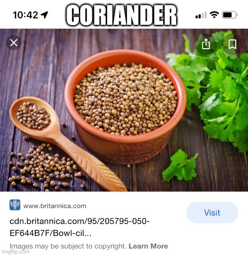 CORIANDER | made w/ Imgflip meme maker