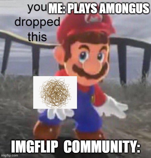 i still like among us | ME: PLAYS AMONGUS; IMGFLIP  COMMUNITY: | image tagged in mario you dropped this,old,amogus | made w/ Imgflip meme maker