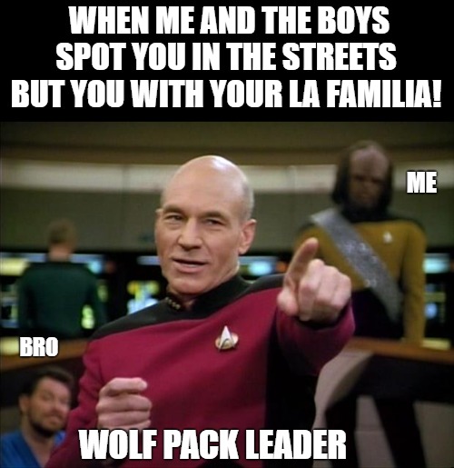 i see ya! |  WHEN ME AND THE BOYS SPOT YOU IN THE STREETS BUT YOU WITH YOUR LA FAMILIA! ME; BRO; WOLF PACK LEADER | image tagged in picard,captain picard,picard wtf,excited picard,picard thinking,picard make it so | made w/ Imgflip meme maker