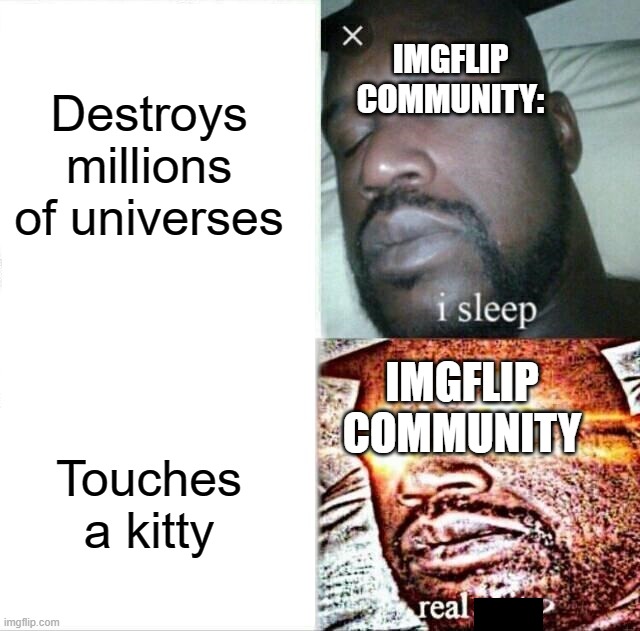 DONT. TOUCH. KITTY. but destroying millions of universes is OK! | Destroys millions of universes; IMGFLIP COMMUNITY:; IMGFLIP COMMUNITY; Touches a kitty | image tagged in memes,sleeping shaq | made w/ Imgflip meme maker