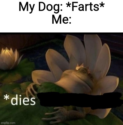 It Does Stank Anyways....... | My Dog: *Farts*
Me: | image tagged in dies from cringe | made w/ Imgflip meme maker