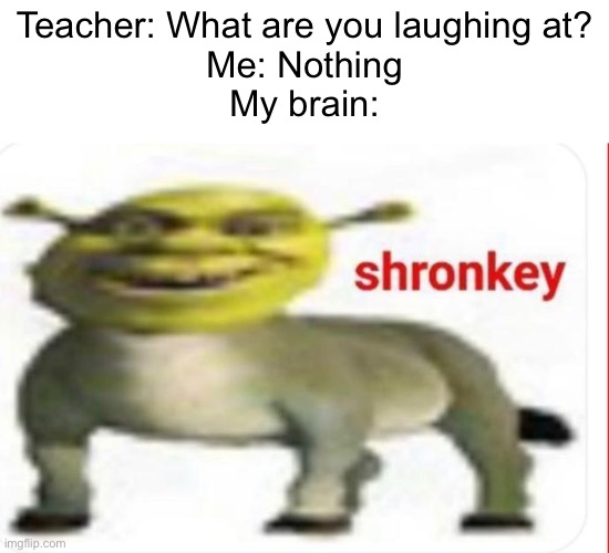 Shronkey looking kinda hot ngl | Teacher: What are you laughing at?
Me: Nothing
My brain: | image tagged in shronkey,shrek,donkey,oof | made w/ Imgflip meme maker