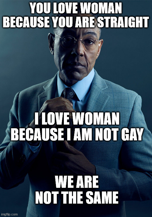 WNTS SNG | YOU LOVE WOMAN BECAUSE YOU ARE STRAIGHT; I LOVE WOMAN BECAUSE I AM NOT GAY; WE ARE NOT THE SAME | image tagged in gus fring we are not the same | made w/ Imgflip meme maker