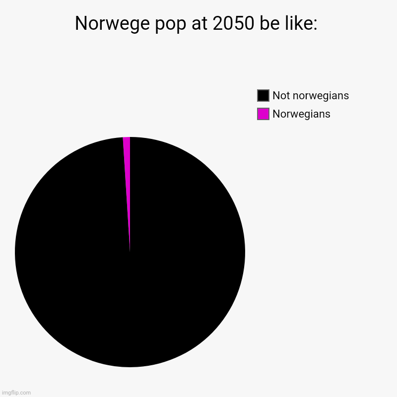 Norwege pop at 2050 be like: | Norwegians, Not norwegians | image tagged in charts,pie charts | made w/ Imgflip chart maker