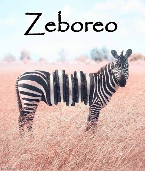 Black and White photo | Zeboreo | image tagged in oreo | made w/ Imgflip meme maker
