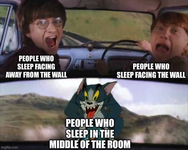 Insane |  PEOPLE WHO SLEEP FACING THE WALL; PEOPLE WHO SLEEP FACING AWAY FROM THE WALL; PEOPLE WHO SLEEP IN THE MIDDLE OF THE ROOM | image tagged in tom chasing harry and ron weasly,sleep,oh wow are you actually reading these tags,are you expecting something,you made it | made w/ Imgflip meme maker