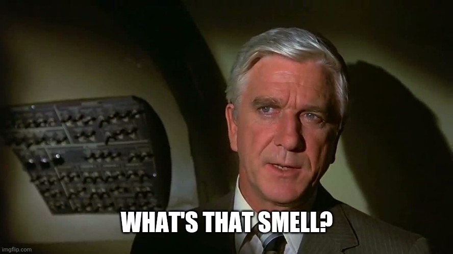 Airplane! | WHAT'S THAT SMELL? | image tagged in airplane | made w/ Imgflip meme maker
