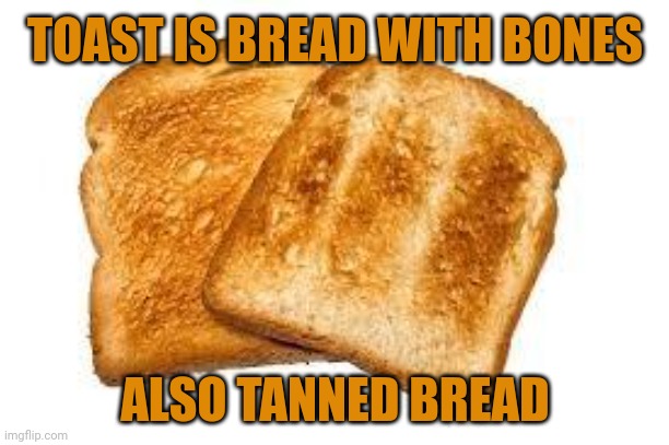 Toast moment | TOAST IS BREAD WITH BONES; ALSO TANNED BREAD | image tagged in toast,comment section,comments,comment,memes,bread | made w/ Imgflip meme maker