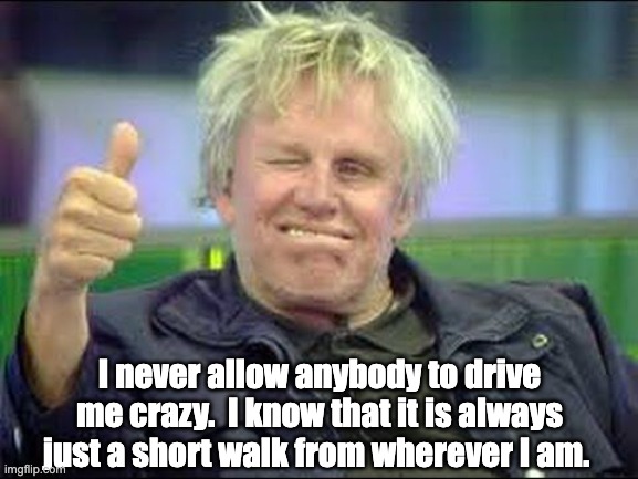 Crazy | I never allow anybody to drive me crazy.  I know that it is always just a short walk from wherever I am. | image tagged in gary busey approves | made w/ Imgflip meme maker