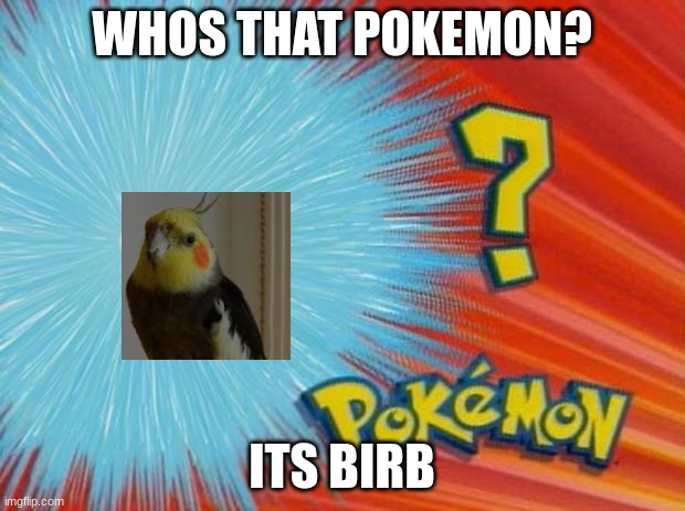 who is that pokemon | WHOS THAT POKEMON? ITS BIRB | image tagged in who is that pokemon | made w/ Imgflip meme maker