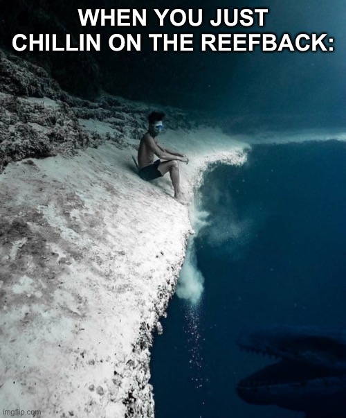 On the reefback | WHEN YOU JUST CHILLIN ON THE REEFBACK: | image tagged in subnautica,ocean,diving,scuba diving | made w/ Imgflip meme maker