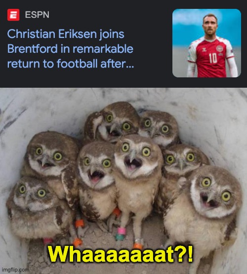 I don't even support Brentford but that is an amazing transfer. Best one of the window. | Whaaaaaaat?! | image tagged in excited owls,memes,unfunny | made w/ Imgflip meme maker