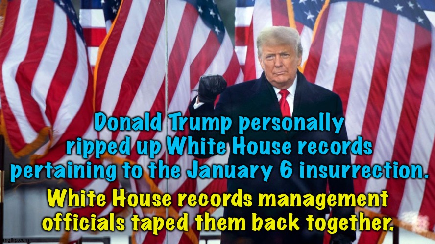 Nice try, Donnie. ? | Donald Trump personally ripped up White House records pertaining to the January 6 insurrection. White House records management officials taped them back together. | image tagged in trump | made w/ Imgflip meme maker