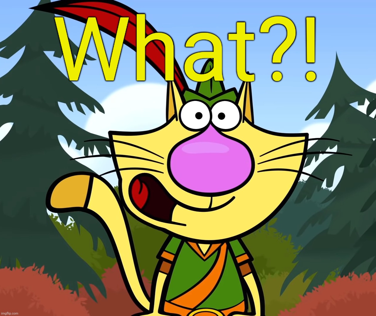No Way!! (Nature Cat) | What?! | image tagged in no way nature cat | made w/ Imgflip meme maker