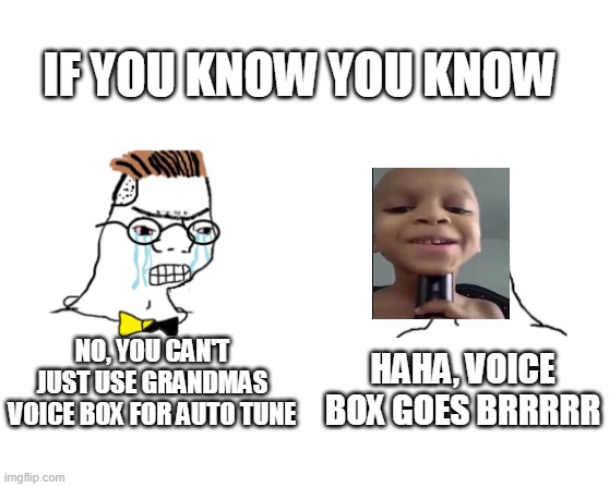 if you know you know | IF YOU KNOW YOU KNOW; NO, YOU CAN'T JUST USE GRANDMAS VOICE BOX FOR AUTO TUNE; HAHA, VOICE BOX GOES BRRRRR | image tagged in memes | made w/ Imgflip meme maker