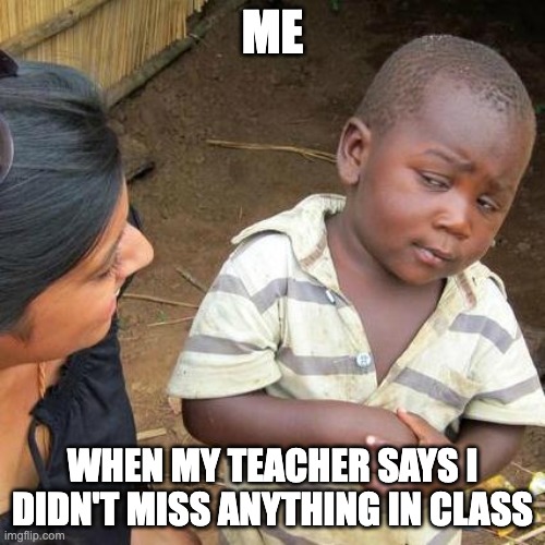 Third World Skeptical Kid Meme | ME; WHEN MY TEACHER SAYS I DIDN'T MISS ANYTHING IN CLASS | image tagged in memes,third world skeptical kid | made w/ Imgflip meme maker