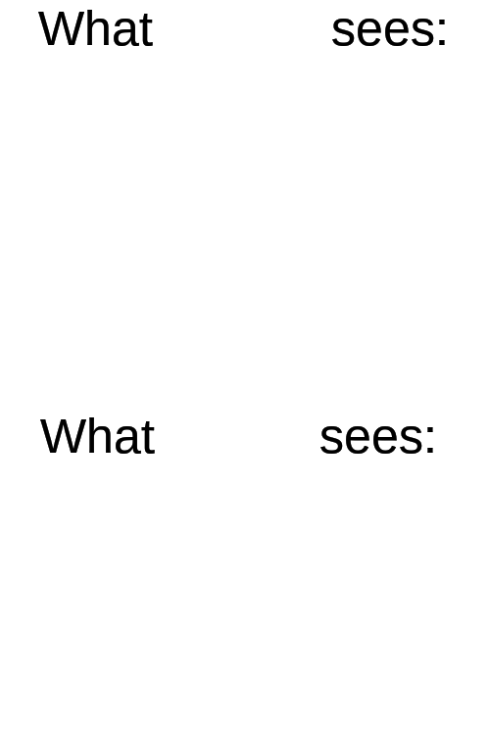 What blank sees vs. what blank sees Blank Meme Template