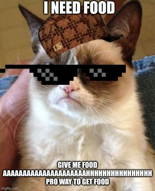 I need to by room serivce | I NEED FOOD; GIVE ME FOOD AAAAAAAAAAAAAAAAAAAAAHHHHHHHHHHHHHHHH PRO WAY TO GET FOOD | image tagged in memes,grumpy cat | made w/ Imgflip meme maker