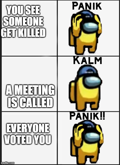 PANIKKKKKK!!!!!!!!!! | YOU SEE SOMEONE GET KILLED; A MEETING IS CALLED; EVERYONE VOTED YOU | image tagged in among us panik | made w/ Imgflip meme maker