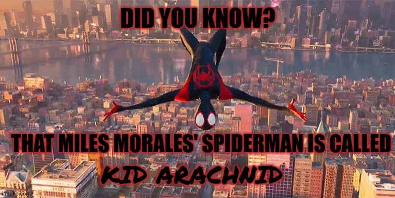 Miles Jumping Down | DID YOU KNOW? THAT MILES MORALES' SPIDERMAN IS CALLED; KID ARACHNID | image tagged in miles jumping down | made w/ Imgflip meme maker