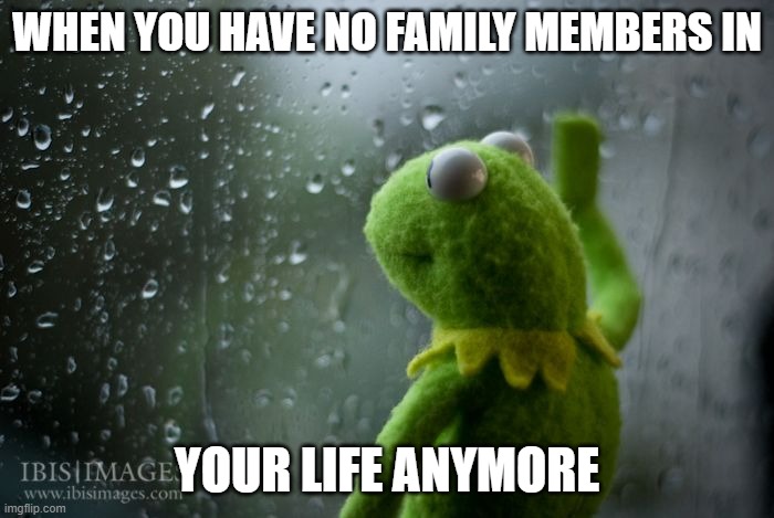 kermit window | WHEN YOU HAVE NO FAMILY MEMBERS IN; YOUR LIFE ANYMORE | image tagged in kermit window | made w/ Imgflip meme maker
