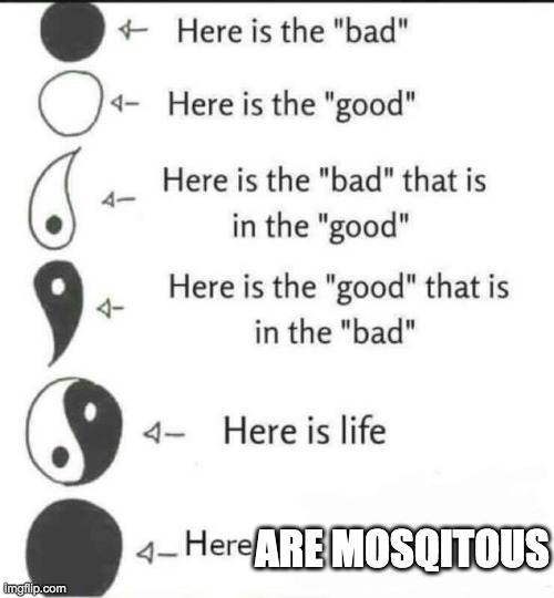hehe | ARE MOSQITOUS | image tagged in hehehe | made w/ Imgflip meme maker