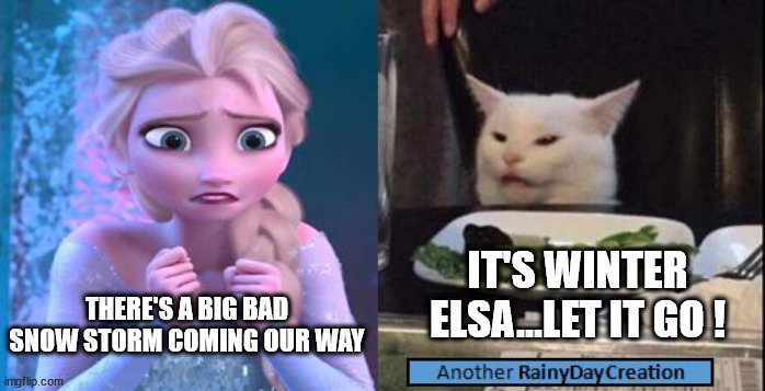 snow storm | IT'S WINTER ELSA...LET IT GO ! THERE'S A BIG BAD SNOW STORM COMING OUR WAY | image tagged in funny,smudge the cat,snow,elsa | made w/ Imgflip meme maker