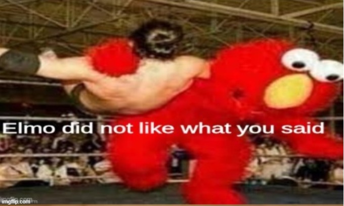 Elmo did not like what you said | image tagged in elmo did not like what you said | made w/ Imgflip meme maker