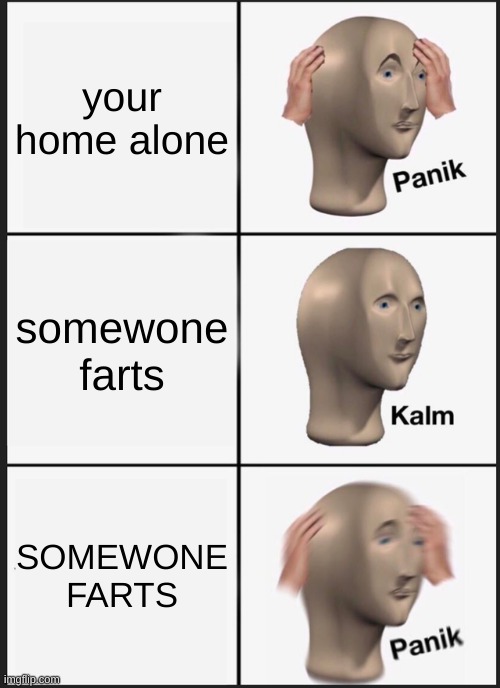 i would to | your home alone; somewone farts; SOMEWONE FARTS | image tagged in memes,panik kalm panik | made w/ Imgflip meme maker