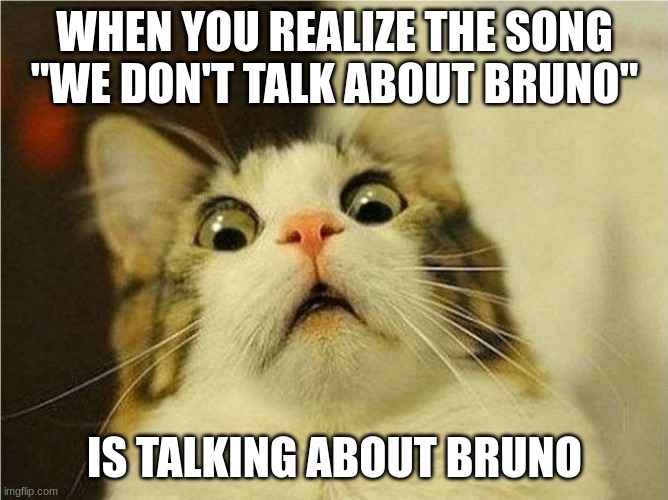 Suprised Cat | WHEN YOU REALIZE THE SONG "WE DON'T TALK ABOUT BRUNO"; IS TALKING ABOUT BRUNO | image tagged in suprised cat,we don't talk about bruno,song | made w/ Imgflip meme maker