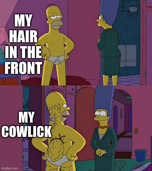 i swear mine was born from satan's anus | MY HAIR IN THE FRONT; MY COWLICK | image tagged in homer simpson's back fat | made w/ Imgflip meme maker