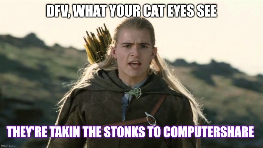 Hobbits Isengard | DFV, WHAT YOUR CAT EYES SEE; THEY'RE TAKIN THE STONKS TO COMPUTERSHARE | image tagged in hobbits isengard,Superstonk | made w/ Imgflip meme maker