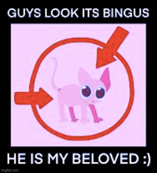 B I N G U S, MY BELOVED | image tagged in bingus,upvote begging,upvote | made w/ Imgflip meme maker