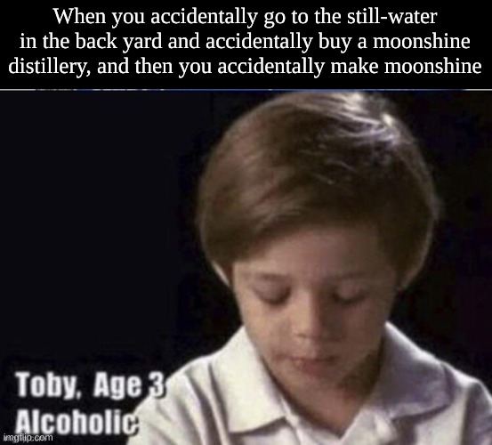 When you accidentally go to the still-water in the back yard and accidentally buy a moonshine distillery, and then you accidentally make moonshine | made w/ Imgflip meme maker